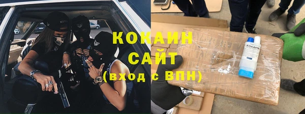 стаф Козельск