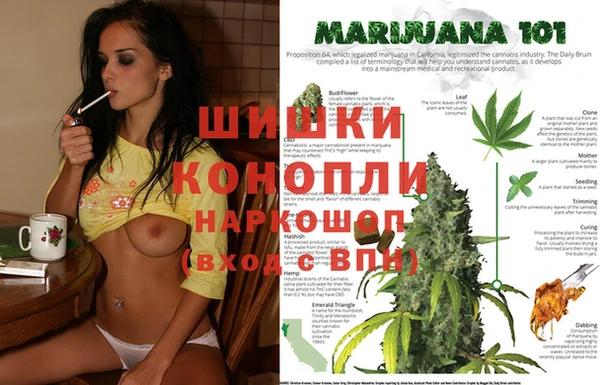 спиды Козловка