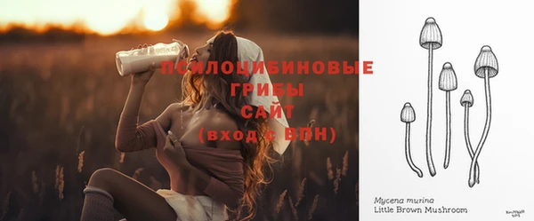 спиды Козловка