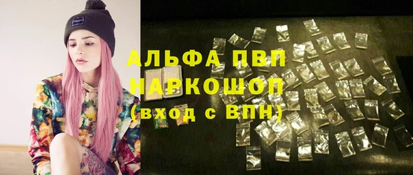 стаф Козельск