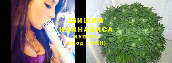 спиды Козловка