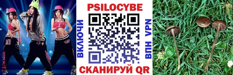 Псилоцибиновые грибы GOLDEN TEACHER  Купить где  Полярный 
