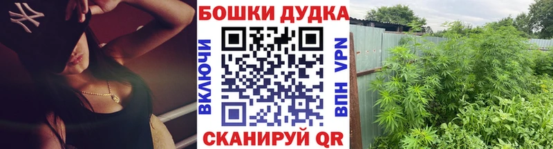 Купить где  Полярный  Марихуана планчик 